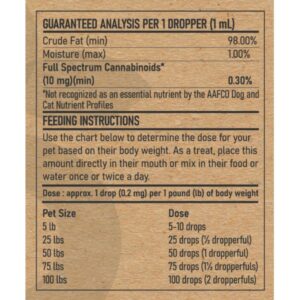 Messenger_creation_7FC10057-BC25-4847-B433-33416E4696F1